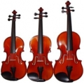 Violine