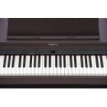 Roland RP 101RW