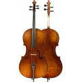 Violoncela