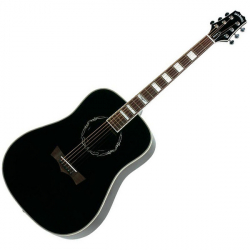 Peavey Jack Daniels AG